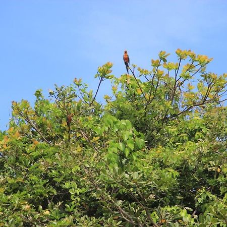 Chales Paradise อาชินส์ ภายนอก รูปภาพ