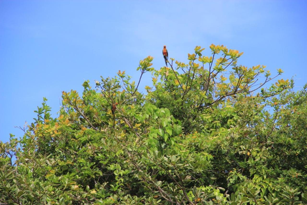 Chales Paradise อาชินส์ ภายนอก รูปภาพ